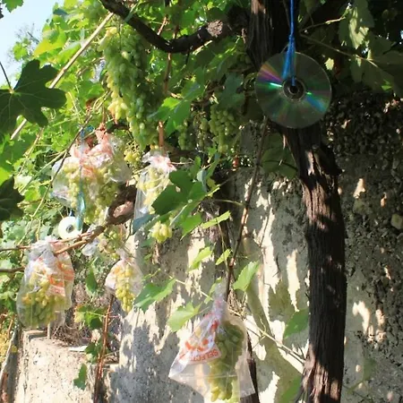 House - 8289 Сasa de vacaciones