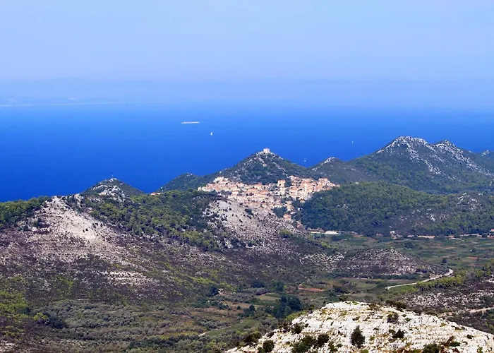 House - 8289 Tatil Evi *